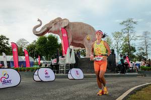 BIB: 
                            <button type="button" onclick="openModal(26529077)" class="btn btn-primary btn-sm float-right btn-popup" data-toggle="modal" data-target=".modal-high-quality">
                        <i class="fas fa-shopping-cart"></i> Add to Cart
                    </button>
                                            <button type="button" onclick="isThisMe(26529077, true)" class="btn btn-success btn-sm float-right btn-popup btn-isme hidden" data-toggle="tooltip" data-placement="bottom" title="นี่คือรูปของคุณใช่ไหม คลิกที่นี่เพื่อเอาเข้าอัลบั้ม">
                        <i class="fas fa-plus"></i> Add to album
                    </button>
                    <button type="button" onclick="isThisMe(26529077, false)" class="btn btn-warning btn-sm float-right btn-popup btn-isnotme hidden">
                        <i class="fas fa-ban"></i> Remove from album
                    </button>